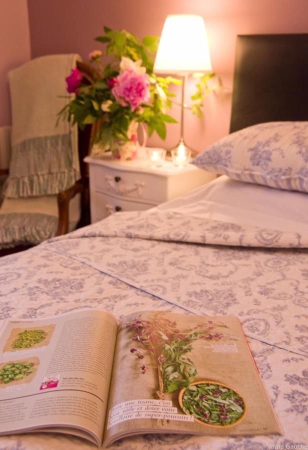Le Cheval Blanc Bed & Breakfast Saint-Antonin Eksteriør bilde